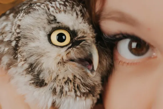 MatchUp Kasino Sokongan